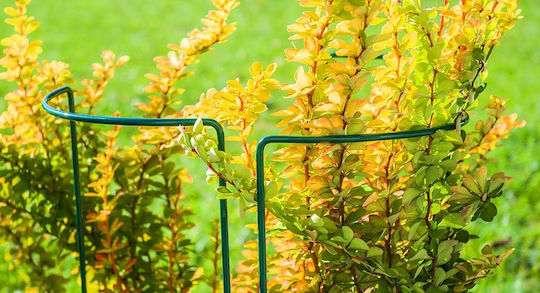 Kadax Garden Support Flowers Metal Plant Stand 115cm Clamp 3pcs
