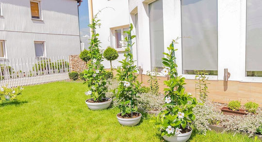 Con de Suport pentru Plante Kadax, Plante Cățărătoare, 120cm