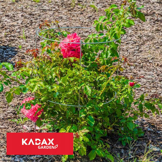 Поддържащи скоби за растения, цветя, рози Kadax 60+90см