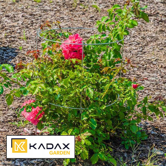 Kadax Garden Support 60cm Plants Clamp 2pcs