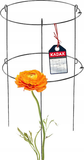 Поддържащи скоби за растения, цветя, рози Kadax 60+90см