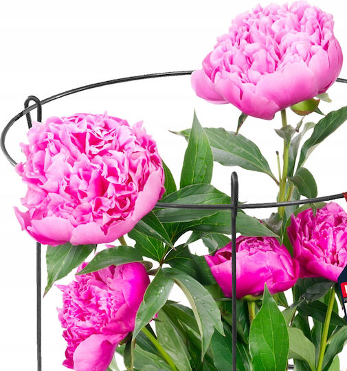 Kadax Garden Support 60cm Plants Clamp 2pcs