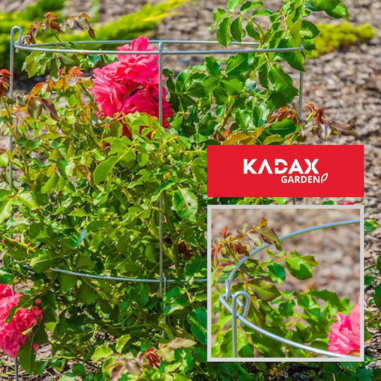 Поддържащи скоби за растения, цветя, рози Kadax 60+90см
