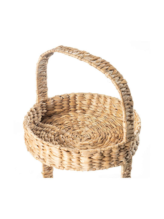 Decorative Basket Wicker with Handles Brown S Line