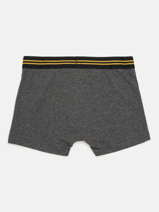 Disney Kids' Boxer Grey