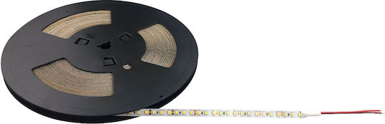 Blaupunkt Led Tape Pro Line 25m 12w/m Warm White