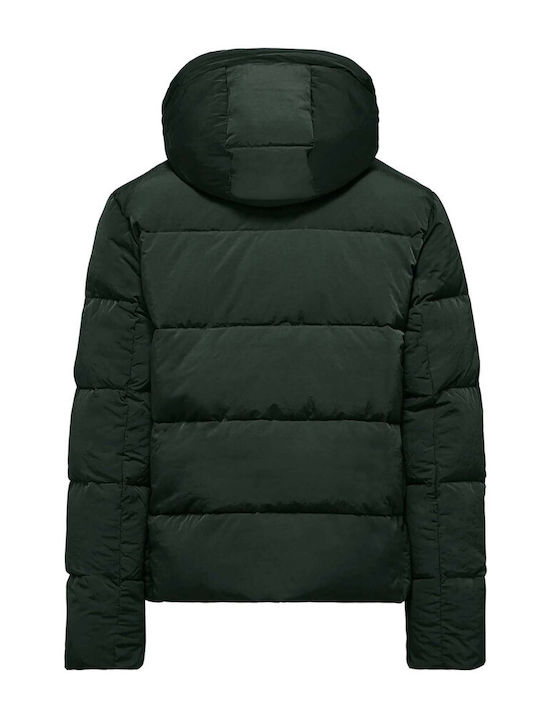 Bomboogie Herren Jacke Puffer Wasserdicht und winddicht Grün