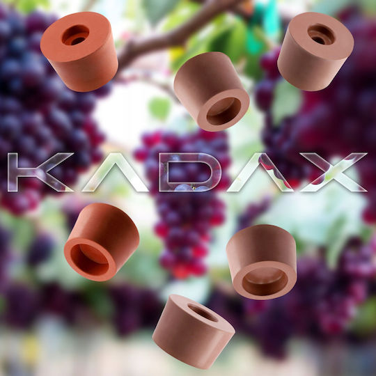 Kadax Νταμιτζάνα 32847 25lt