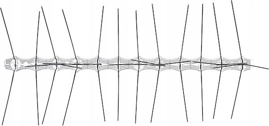 Kadax Abwehrspitzen Vögel 3x0.2m