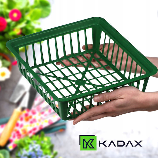 Kadax Γλαστράκι Φύτευσης