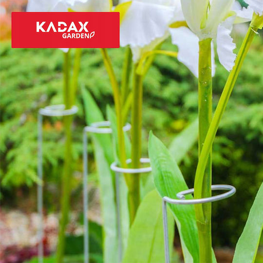 Trandafir Argintiu 90cm Kadax