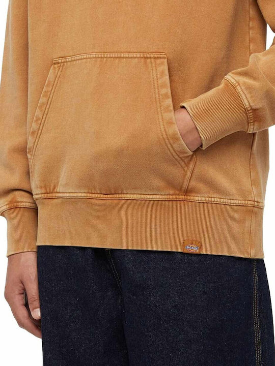 Sweatshirt with Hood Brown