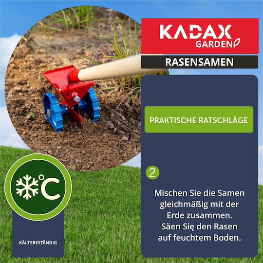 Kadax Seeds Green 5kg