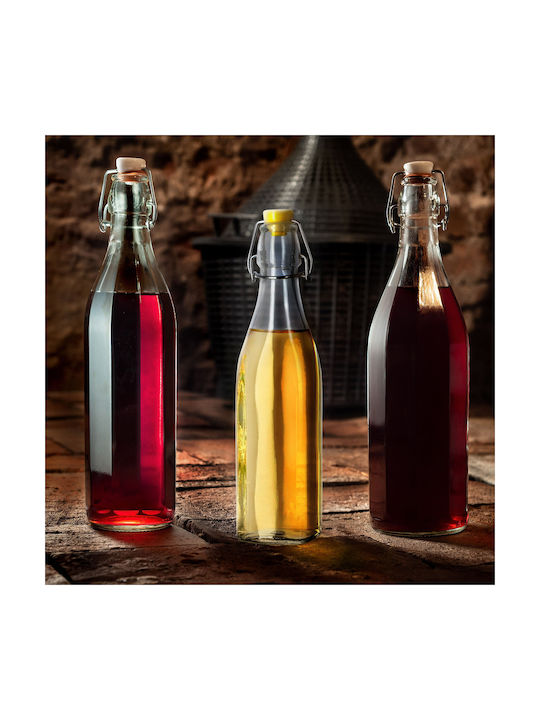 Kadax Flasche Wasser Glas mit Clip Transparent 500ml 3 Stück
