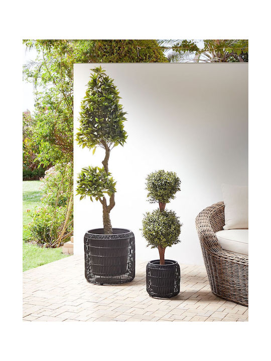 Set 2 Black Rattan Flower Pots Brodiea