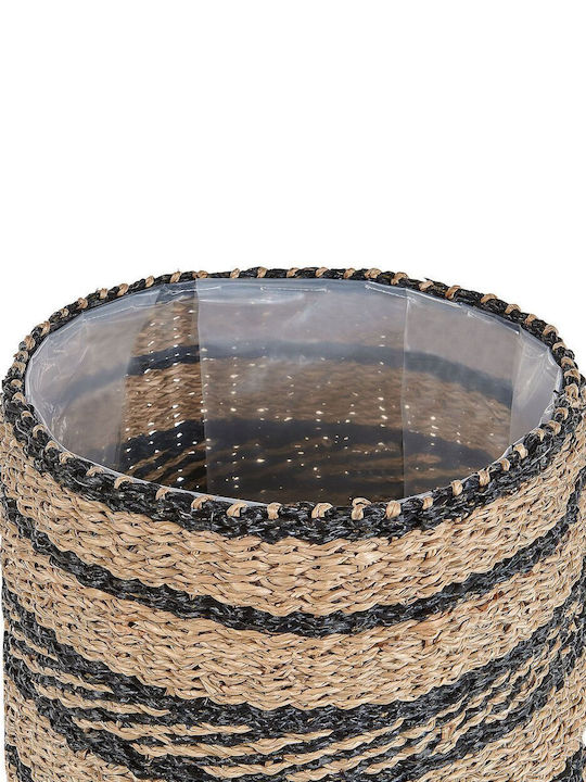Set 3 Natural Seagrass Flower Baskets Black Rasbora