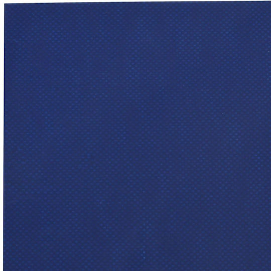 vidaXL Waterproof Tarpaulin 650gr/m² 2.5x1m. Heavy Duty Blue