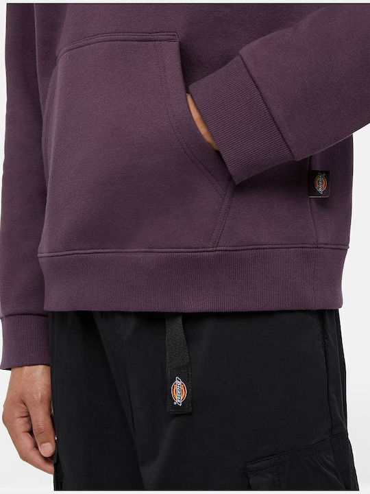Sweatshirt with Hood Plum