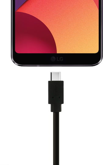 Avizar USB 2.0 Kabel USB-C männlich - USB-A Schwarz 2m (DATA-2M-USBC)