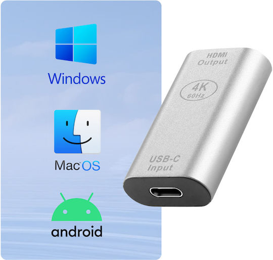 Avizar USB-C Buchse zu HDMI Buchse 4K Kompaktes Design Silber