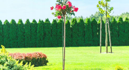 Kadax Flower Support Steel Roses 140cm