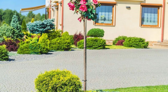 Kadax Flower Support Steel Roses 140cm