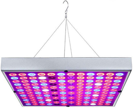 Lampă LED 15W Flippy pentru creșterea plantelor de interior, material ABS, agățătoare 25 x 25 cm, multicolor