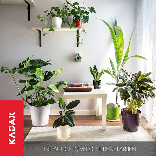 Kadax Untersetzer für Blumentöpfe aus Kunststoff 16cm Lila