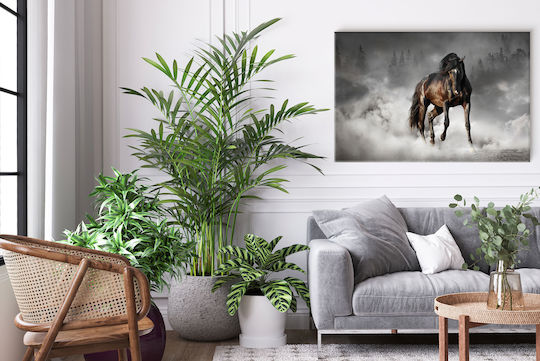 Naklejkomania Painting on Canvas 80x120cm