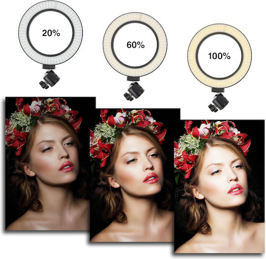 Avizar Ring Light 100cm