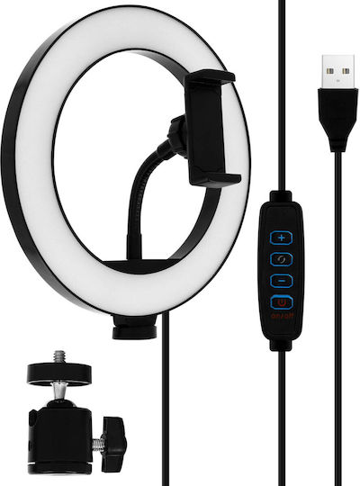 LinQ Ring Light 26cm