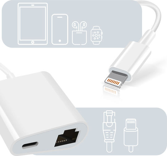 Avizar ADA-1035-IP5 Lightning Konverter männlich zu Lightning / Ethernet weiblich Weiß