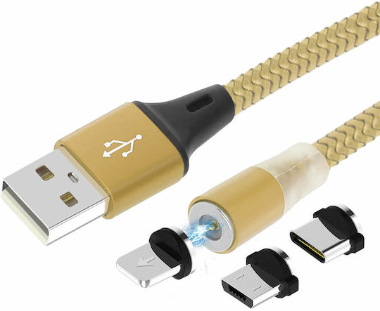 Avizar LED Cablu USB la Lightning / Type-C / micro USB cu mai multe porturi 2.4A Auriu 1.2m (DATA-31-MAG-GD)