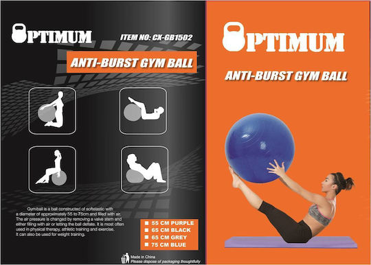 Optimum Gym Ball Anti Burst Ball Pilates 65cm , 1.1kg in Gray Color