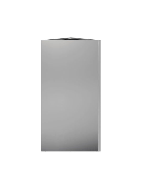 vidaXL Set 2 Pots Metal