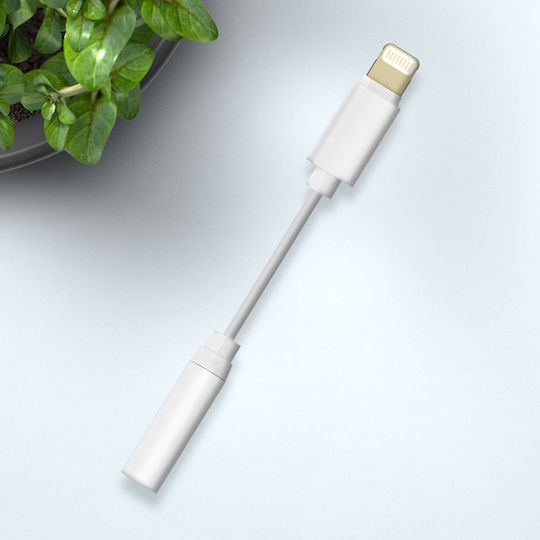 Avizar Μετατροπέας Lightning male σε 3.5mm female Λευκό 1τμχ ADAJACK-IP5