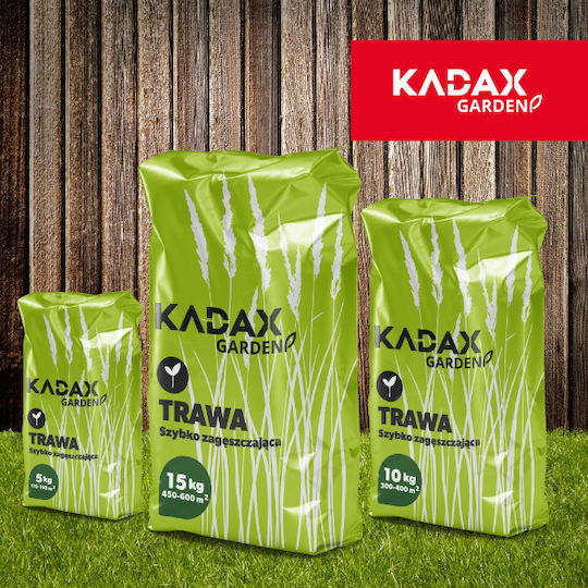 Kadax Universalschnellwachsende Rasensamen 1kg 40m²