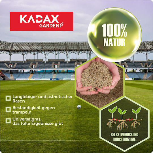 Kadax Sport-Rasen Selbstverdichtender Rasen 5 kg