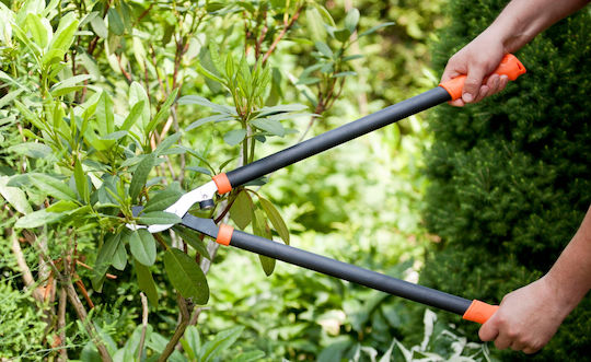 Kadax Gartenschere Äste Hecken 74cm Handgehalten Lang