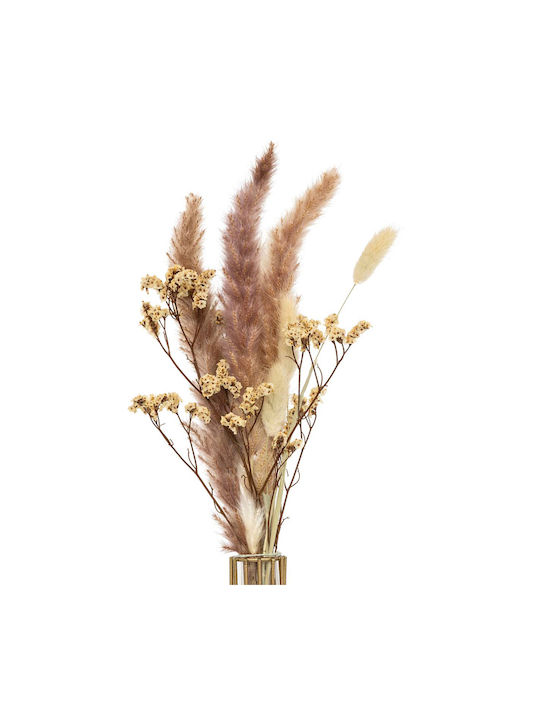 Dried Plant Beige 40cm