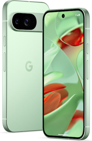 Google Pixel 9 5G (12GB/256GB) Wintergreen