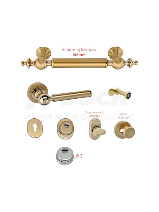 Best Design Handle Front Door Right Sd6-an-00 with Rosette Gold matte