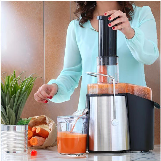 Homestar Juicer 250W Silver