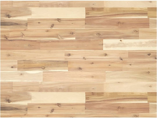 vidaXL Πάγκος Εργασίας 100x60x73cm 3309713
