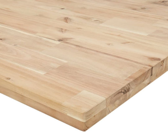 vidaXL Πάγκος Εργασίας 100x60x73cm 3309713