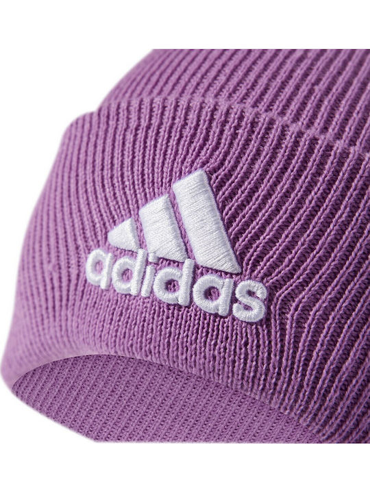 Beanie Beanie Knitted in Purple color