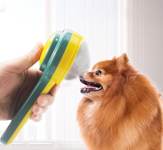 Pets Comb Dogs for Coat Cleaning