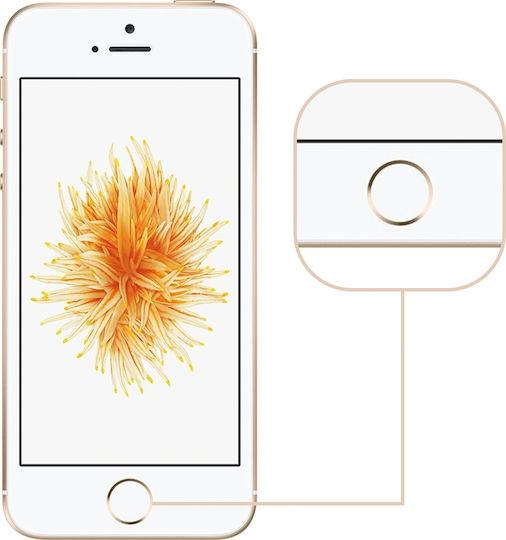 White Home Button + Flex Cable Replacement Part Apple Iphone 5s
