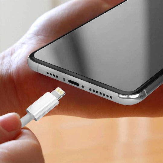 Charging Port Iphone 11 Pro Max Lightning Input