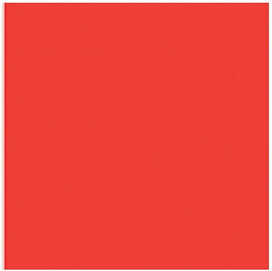 Fliese Boden / Wand Küche / Bad 20x20cm Rot